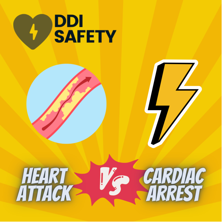 Heart Attack vs Cardiac Arrest: Whats the Difference?