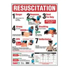 CPR Wall Chart Poly 450 x 600